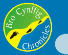 Bro Cynffig Chronicles logo